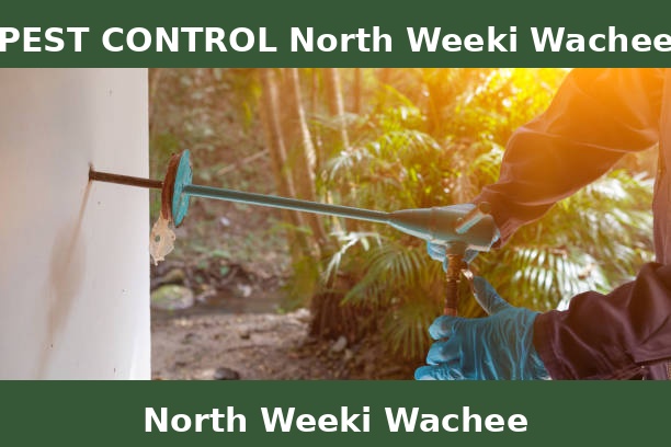 PEST CONTROL North Weeki Wachee